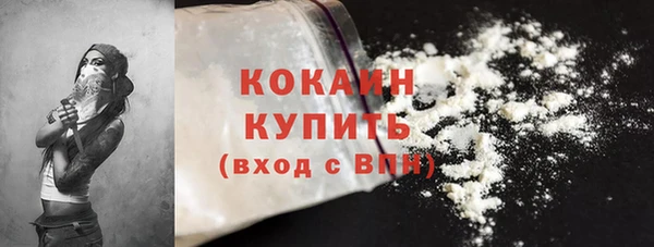 мдпв Козельск