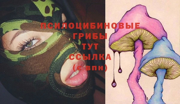 крисы Краснотурьинск