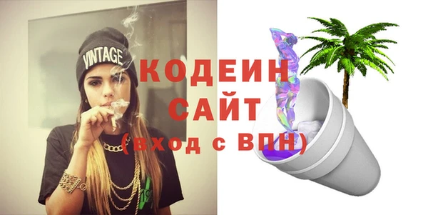 дурь Краснослободск