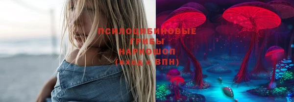 крисы Краснотурьинск