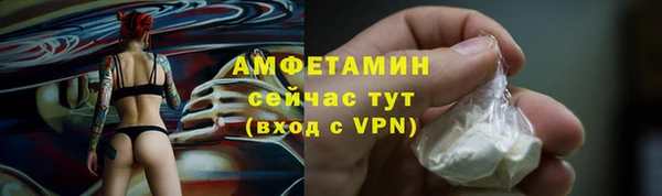дурь Краснослободск