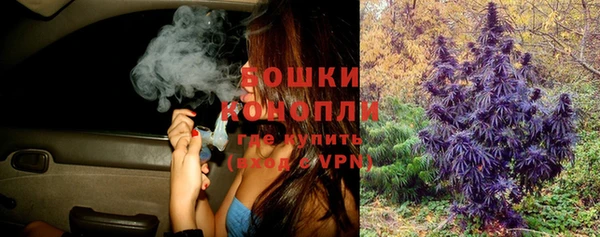 дурь Краснослободск