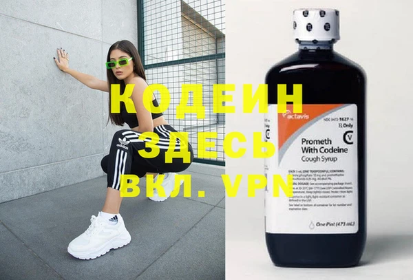 молекула духа Козловка