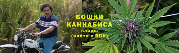 мдпв Козельск