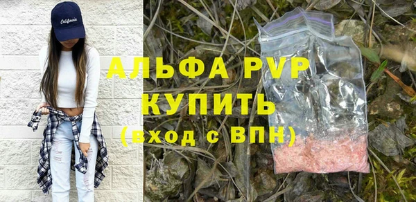 молекула духа Козловка