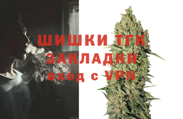 молекула духа Козловка