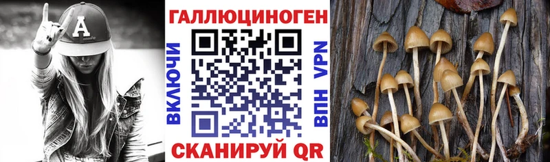 Псилоцибиновые грибы мухоморы  где купить наркотик  блэк спрут ссылки  Курчалой 