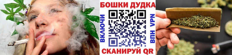 Канабис сатива  Курчалой 